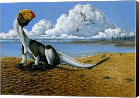 Framed Dilophosaurus on the beach Print