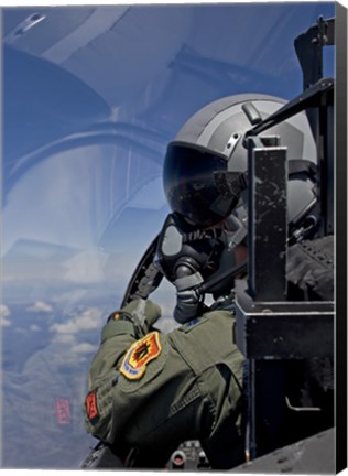 Framed F-15 Pilot Looks Over at his Wingman Print