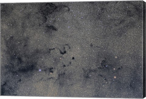 Framed Snake Nebula in Ophiuchus Print