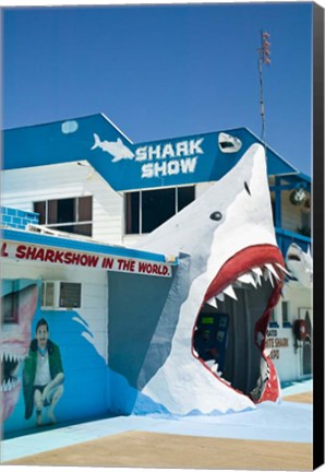 Framed Australia, Queensland, Hervey Bay, Shark Show Print