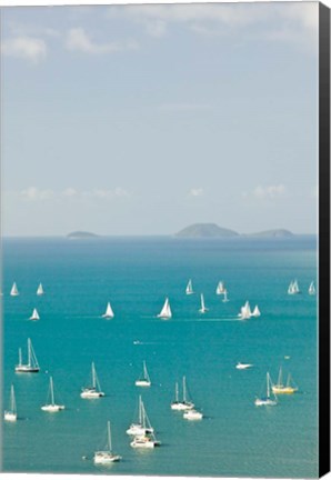 Framed Australia, Queensland, Whitsunday, Airlie, Sailboats Print