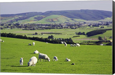 Framed Farmland at Milburn, South Otago, South Island, New Zealand Print