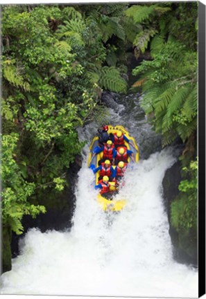 Framed Raft, Tutea&#39;s Falls, Okere River, near Rotorua, New Zealand Print