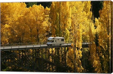 Framed Autumn Colors, Victoria Bridge, Kawarau Gorge, South Island, New Zealand Print