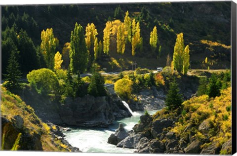 Framed Autumn Colours, Kawarau River, Kawarau Gorge, South Island, New Zealand Print