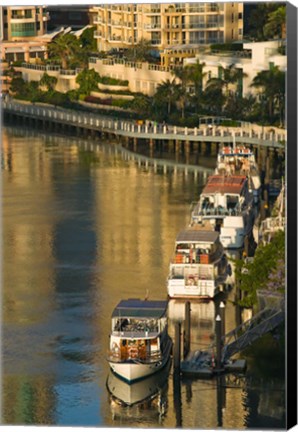 Framed Australia, Brisbane, Brisbane River Marina boats Print