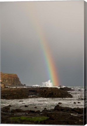 Framed New Zealand, South Island A rainbow arcs over Curio Bay Print