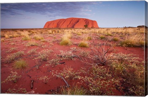 Framed Australia, Uluru-Kata Tjuta NP, Outback, Ayers Rock Print