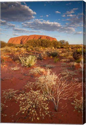 Framed Australia, Uluru-Kata Tjuta NP, Red desert, Ayers Rock Print