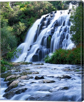 Framed Cascade, Karangahake Gorge, North Island, New Zealand Print