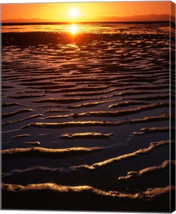 Framed Coast at sunset, Abel Tasman National Park, New Zealand Print