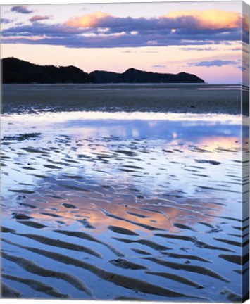 Framed Coast, Abel Tasman National Park, New Zealand Print