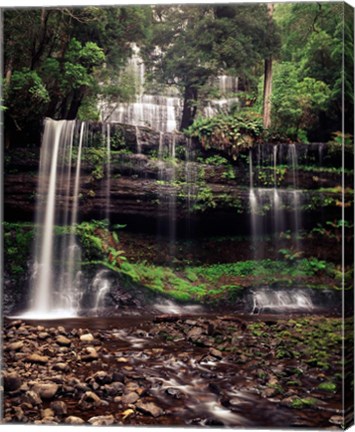 Framed Australia, Tasmania, Mount Field NP, Russell Falls Print
