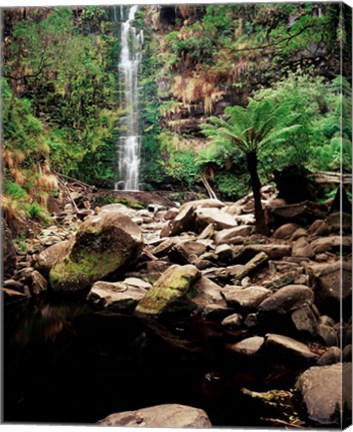 Framed Erskine Falls, Lorne, Victoria, Australia Print