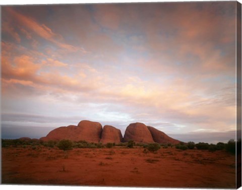 Framed Olgas, Uluru-Kata Tjuta NP, Northern Territory, Australia Print