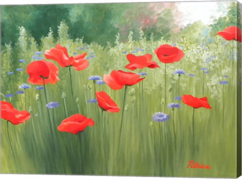 Framed Backyard Poppies Print