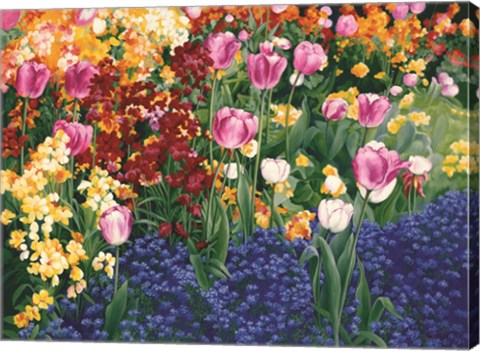 Framed English Tulips Print