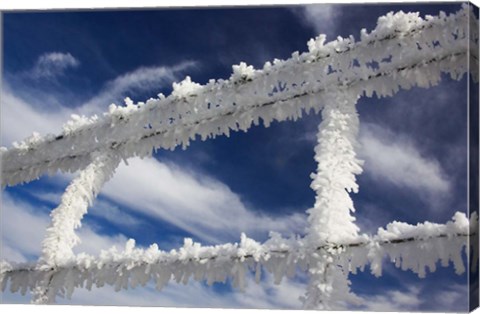 Framed Frosty Wire Fence, Otago, South Island, New Zealand Print