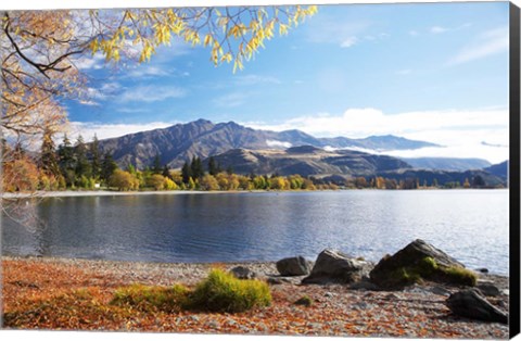 Framed Glendhu Bay, Lake Wanaka, Otago, South Island, New Zealand Print