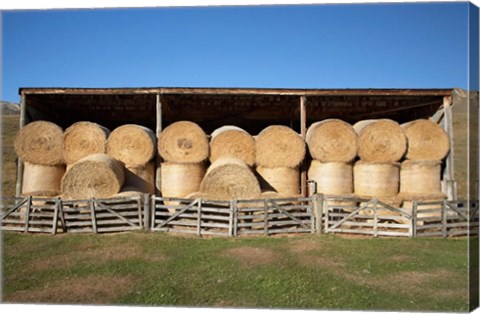 Framed Hay Barn, Ahuriri Valley, North Otago, South Island, New Zealand Print