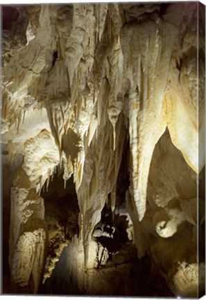 Framed Stalactites, Ruakuri Caves, North Island, New Zealand Print