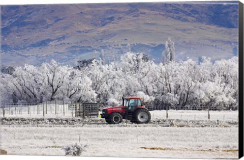 Framed Tractor and Hoar Frost, Sutton, Otago, South Island, New Zealand Print