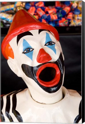 Framed Laughing Clown, Bay of Plenty, North Island, New Zealand Print