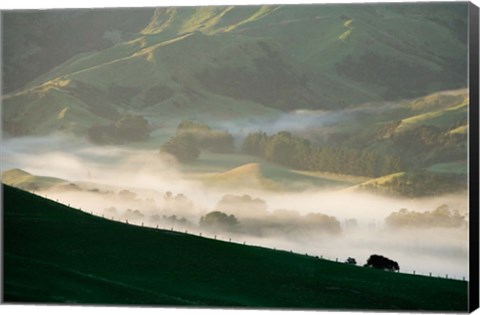 Framed Misty Farmland near Martinborough, Wairarapa, North Island, New Zealand Print