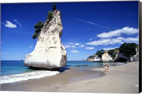 Framed Cathedral Cove, Coromandel Peninsula Print