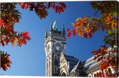 Framed Clock Tower, Dunedin, South Island, New Zealand Print