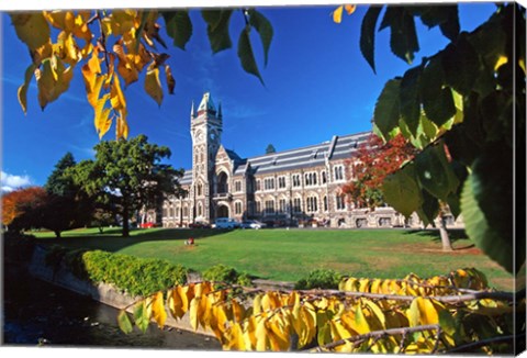 Framed Clocktower, University of Otago, Dunedin, New Zealand Print