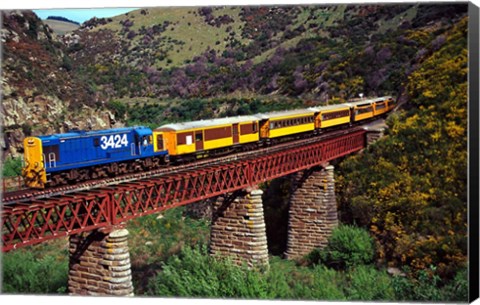 Framed Taieri Gorge Train, near Dunedin, Otago, New Zealand Print