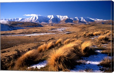 Framed Tussocks and Hawkdun Range, Central Otago, New Zealand Print