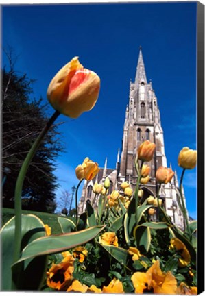 Framed First Church, Dunedin, New Zealand Print