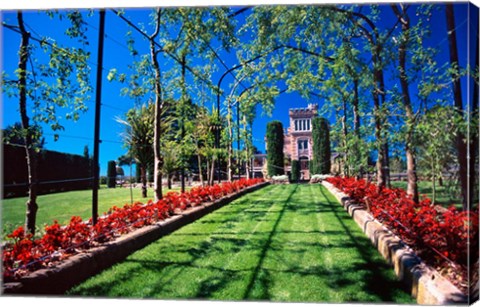 Framed Larnach Castle, Dunedin, New Zealand (horizontal) Print