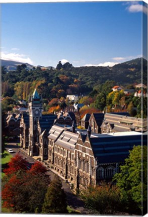 Framed University of Otago, Dunedin, New Zealand Print