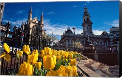 Framed Municipal Chambers and St Pauls, Octagon, Dunedin, New Zealand Print