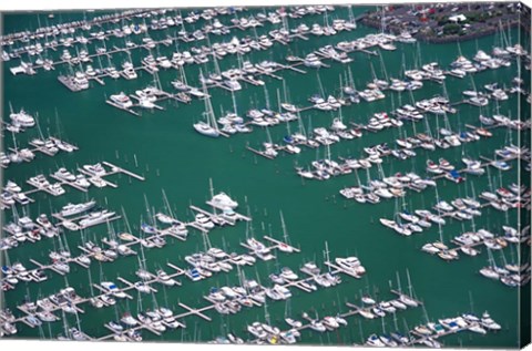 Framed Westhaven Marina, Waitemata Harbor, Auckland Print