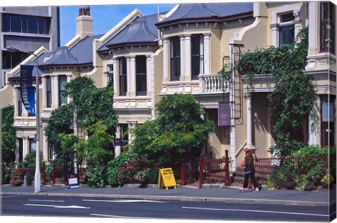 Framed Historic Terrace Houses, Stuart Street, Dunedin, New Zealand Print