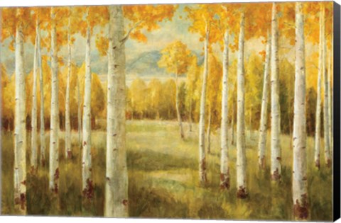 Framed Aspens Print