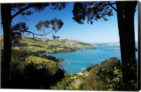 Framed Careys Bay, Otago Harbour, South Island, New Zealand Print