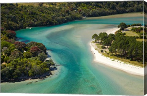 Framed Cooks Beach, North Island, New Zealand Print