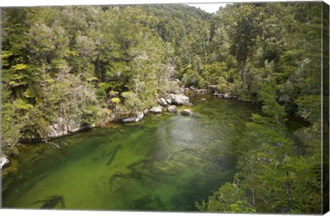 Framed Falls River, Abel Tasman, South Island, New Zealand Print