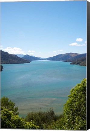 Framed Mahakipawa Arm, South Island, New Zealand Print