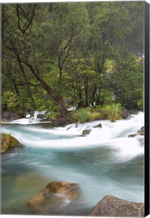 Framed New Zealand, North Island, Rapids on Tarawera River Print