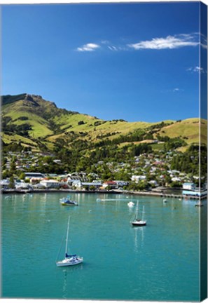 Framed New Zealand, South Island, Canterbury, Akaroa Harbor Print