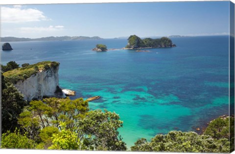 Framed Stingray Bay, Cathedral Cove, North Island, New Zealand Print