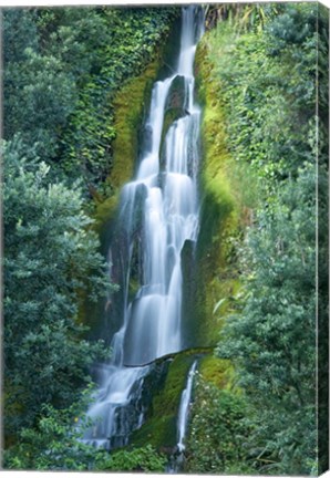 Framed Waterfall, Centennial Gardens, Napier, Hawkes Bay, North Island, New Zealand Print