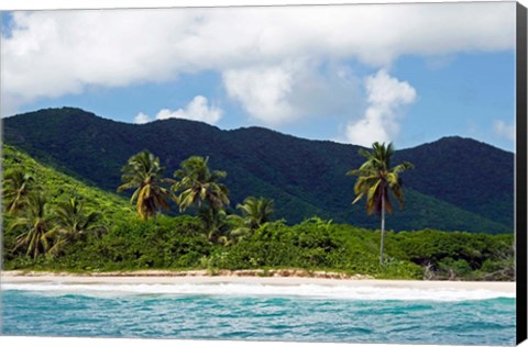 Framed Tobacco Beach, Antigua, West Indies, Caribbean Print