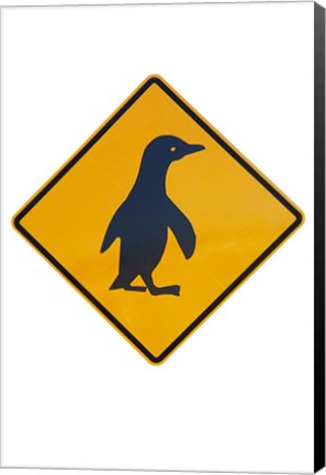 Framed Penguin Warning Sign, New Zealand Print